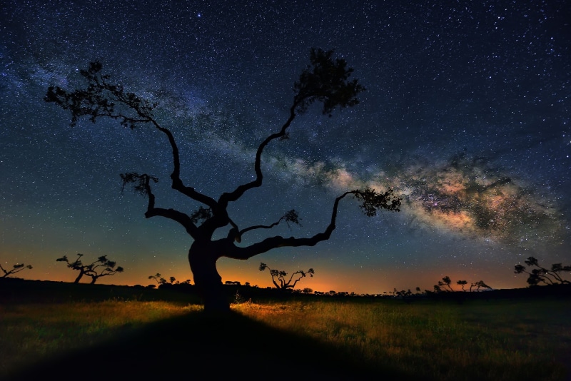 sunset, 5K, starscape, sky blue, stars, field, trees, landscape