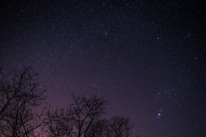 tress, nebula, tree, starry sky, universe, space and astronomy, idyllic, plant, galaxy, star field, night, starry, beauty in nature, silhouette, tranquil scene