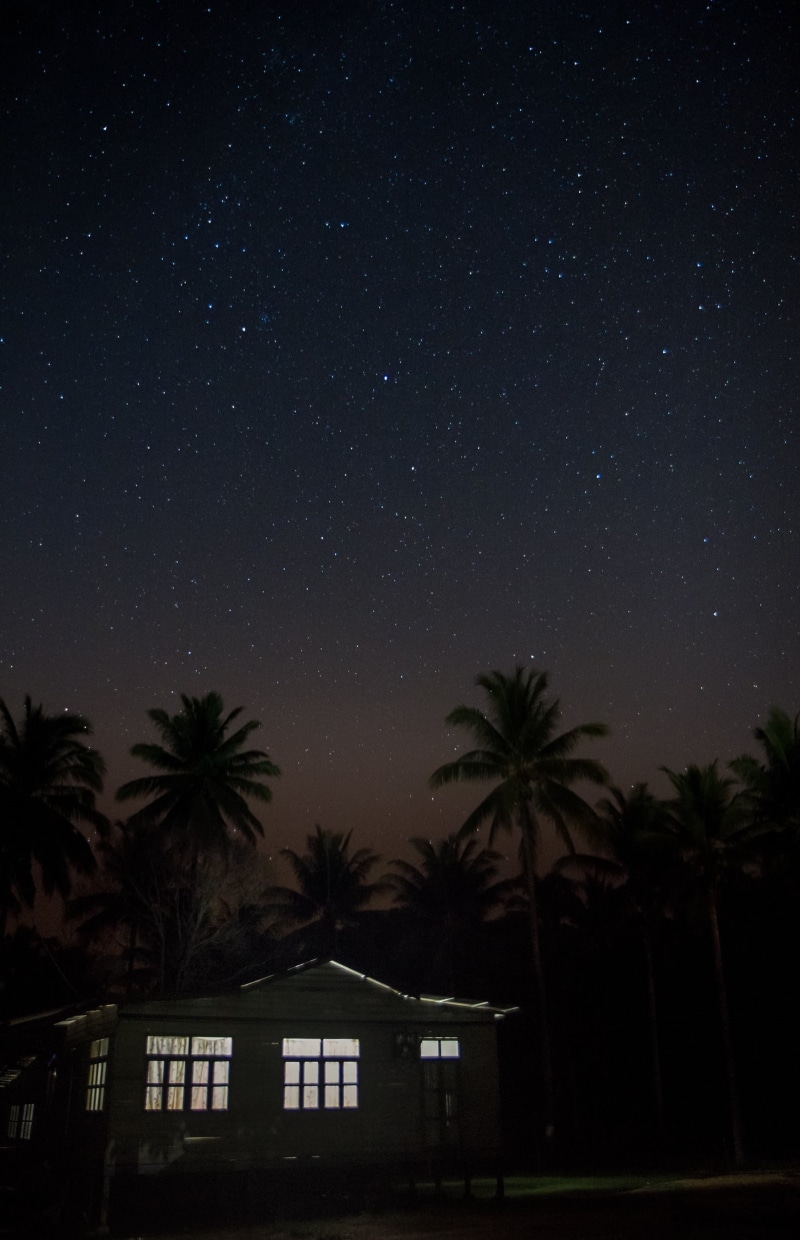 star - space, tree, building, constellation, astronomy, 1080P, astrophotography, palm tree, house, sky, low angle view, coconut, star field, space, cosmic