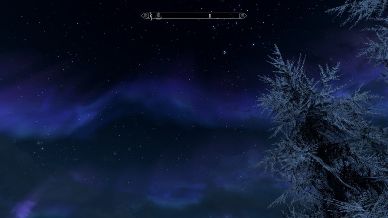 flowers, night, field, grass, PC gaming, Bethesda Softworks, water, dragon, plants, universe, building, starscape, green, The Elder Scrolls V: Skyrim, city