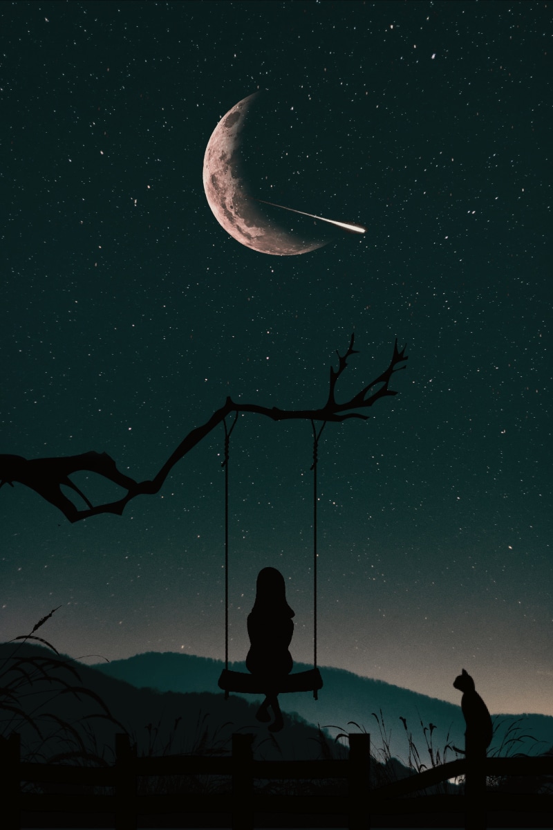 bright, star, infinity, illustration, low angle view, outdoors, crescent, branch, star field, astronomy, girl, beauty in nature, fairy sky, space, starry
