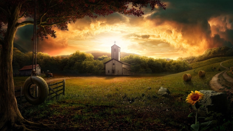 flower, grass, trees, hd, tree, church, nature, swing, tire, painting, surrounded, 1080P, sunset