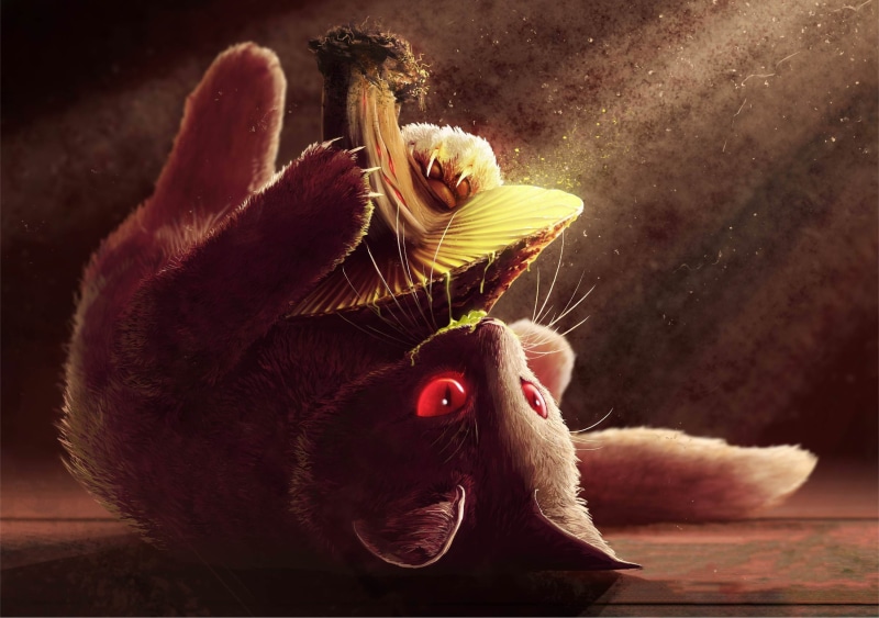 kitty, Single, mushroom, music, 2K, Cover art, cat, Infected Mushroom, Psychedelic trance, Spitfire