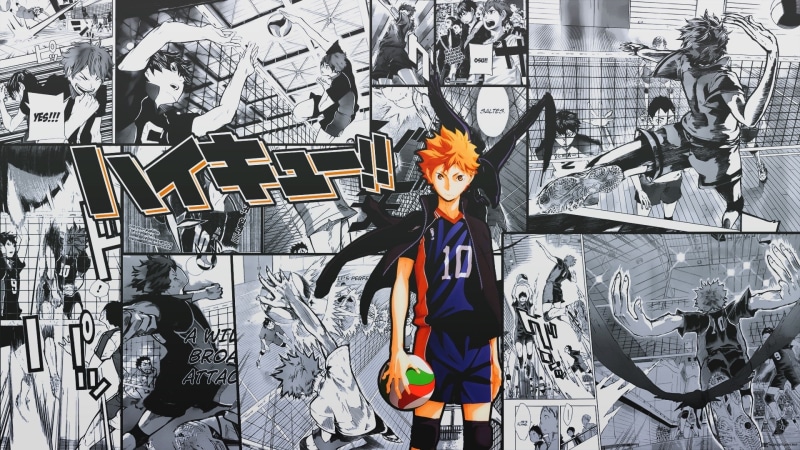1080P, anime, shoyo, haikyuu, hinata, volleyball, 1920x1080