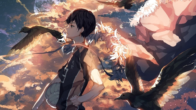 kageyama, 1080P, tobio, crow, anime, haikyuu