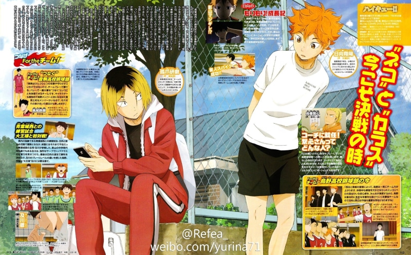 character, series, haikyuu!!, hinata, kozume, shouyou, kenma, 1080P