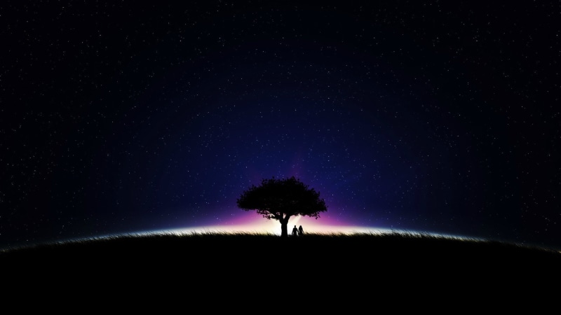 stars, night, love, girl, sky, boy, boy and girl, grass, 1080P, trees