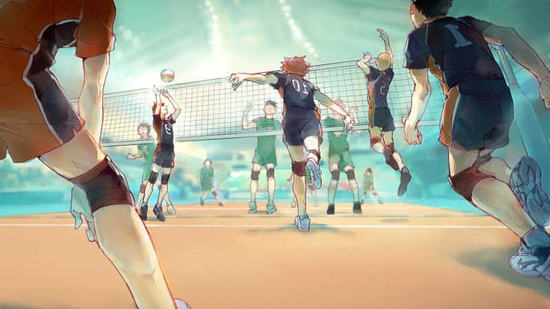 motion, group, group of people, adult, men, Volleyball, togetherness, young women, women, Hinata Shouyou, crowd, effort, young adult, medium group of people