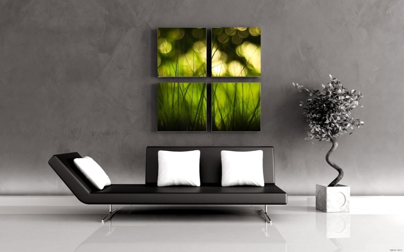 bonsai, lounge, chaise, interier, nature and landscapes, green, leather, 1080P, sofa, black, room, zen