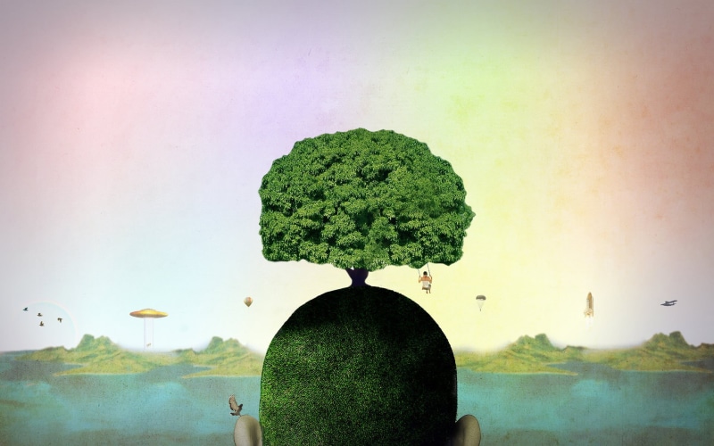 food, plant, green, one person, abstract, wellbeing, rear view, day, tree, real people, landscape, artwork, psychedelic, bonsai, outdoors, 1080P, sky