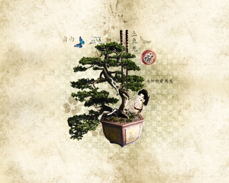 nature, chopstick, sunlight, plant part, growth, Japanese Garden, leaf, representation, day, communication, beauty in nature, human representation, no people