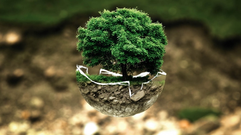 grow, green color, field, surreal, nature, deciduous tree, environmental protection, plant, dying tree, bio, biology, glass ball, earth, 1080P, live, beauty in nature