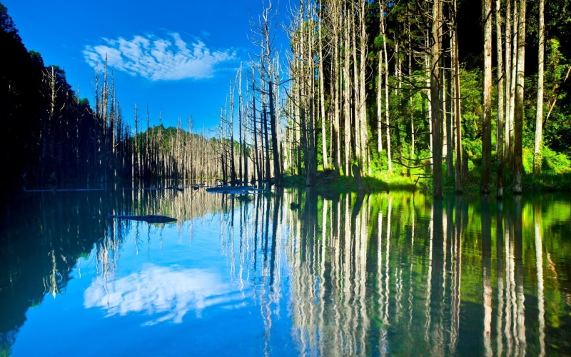 Scenery, Lake, 1080P, Sun, Reflection, Water, Trees, Beautiful, Nature