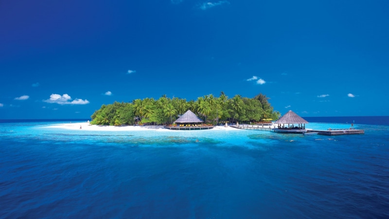 sea, pier, palm trees, cottage, 1080P, palm, sky, beautiful sea, beach, picture, beautiful, landscape, blue, pier picture, blue sky, oceans, islands, trees