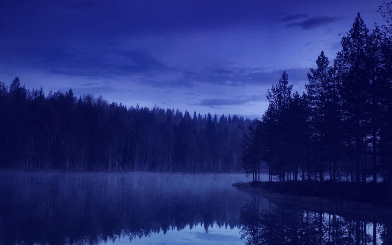 coniferous tree, blue, lake, photo, landscape, reflection, silhouette, tranquility, sky, scenics - nature, evening, nature, land, trees, forest, plant