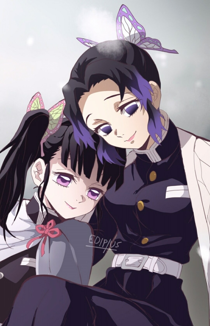 Kochou Shinobu, Kanao Tsuyuri, 720P, Kimetsu no Yaiba