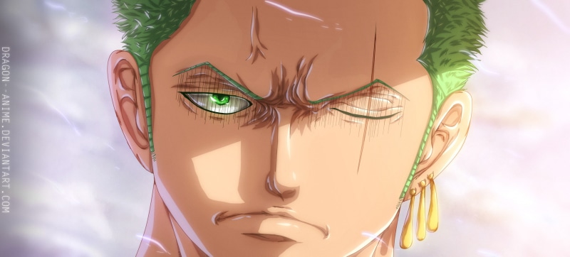 day, body part, outdoors, green hair, sunglasses, green eyes, fashion, sky, plant, Roronoa Zoro, glasses, nature, 1080P, trip, vacations, representation