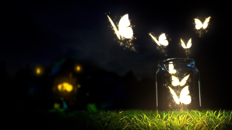 butterfly, 1080P, night, butterflies, light, jar