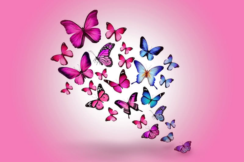 elegance, butterfly, vibrant Color, romance, creativity, decoration, computer Graphic, butterfly - Insect, ornate, still life, vector, 4K, abstract, backgrounds