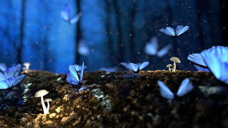 blurred, blur, mushroom, butterfly, bright, blurry, 4K, butterflies