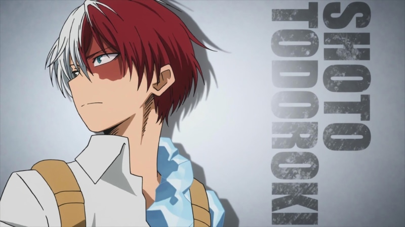 headshot, front view, todoroki, young women, adult, studio shot, portrait, business, Boku no Hero Academia, women, shoto, indoors, 1080P, human body part
