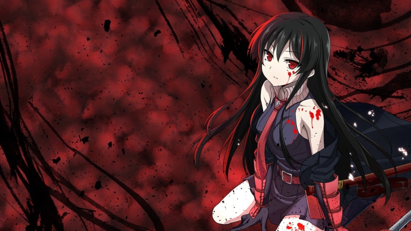 night, 1080P, costume, disguise, event, Akame ga Kill!, anime girls, celebration, mask - disguise, fear, horror, red, wall - building feature, spooky