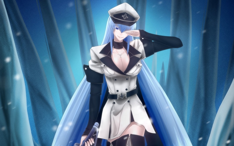 toy, man made, blue, female likeness, creativity, retail, Esdeath (Akame Ga Kill!), craft, male likeness, haired, human representation, character, still life