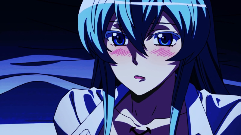 1080P, front view, no people, blue hair, craft, Esdeath, day, human representation, indoors, art and craft, close-up, blue, Akame ga Kill!, shape, pattern