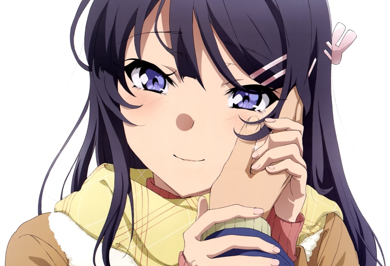 Mai Sakurajima, Anime, 4K, Seishun Buta Yarou wa Bunny Girl Senpai no Yume wo Minai