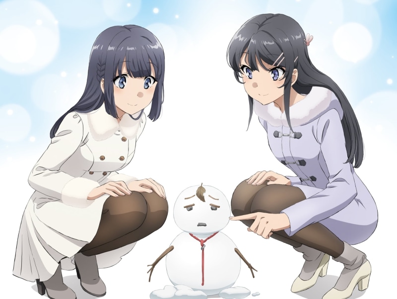 Seishun Buta Yarou wa Bunny Girl Senpai no Yume wo Minai, Anime, Shoko Makinohara, Mai Sakurajima, 1080P