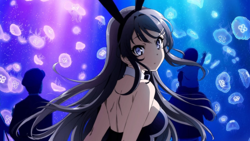 Anime, Rascal Does Not Dream of Bunny Girl Senpai, Mai Sakurajima, 1080P
