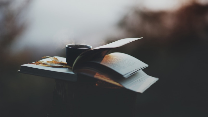 tea, hot drink, bookpage, depth of field, cafe, education, books, desk, food and drink, close-up, opened, mug, coffee, page, drink, fall, table, document