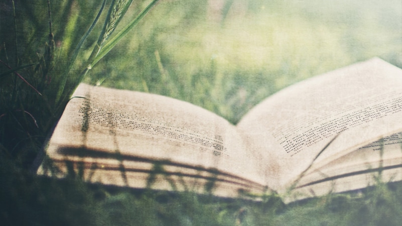 2K, creativity, emotion, day, no people, books, paper, publication, close-up, the past, page, art and craft, book, tree, plant, backgrounds, heart shape