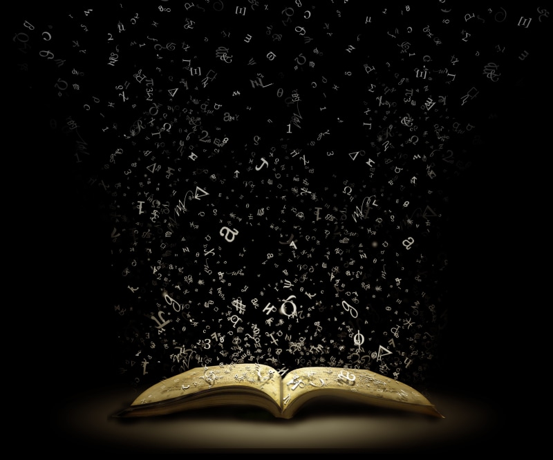 night, page, open, studying, black background, 4K, illustration, education, leaf, book, literature, paper, plant part, no people, close-up, copy space