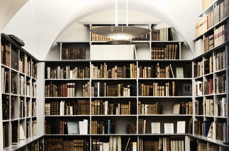 in a row, literature, publication, no people, bookstore, shelf, collection, large group of objects, information, abundance, white, read, wooden, book, bookshelf