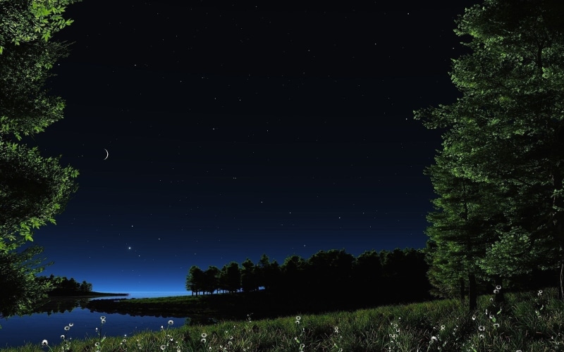 land, 1080P, idyllic, tranquil scene, green color, astronomy, tree, tranquility, night, star - space, growth, star field, plant, star, background pictures nature hd images 1920x1200