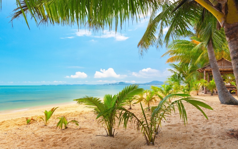1080P, background pictures nature hd images 1920x1200