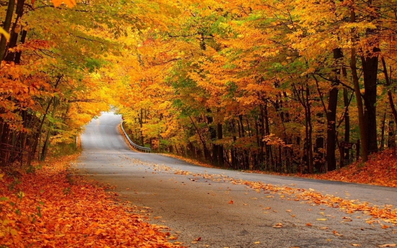 image background nature hd image 1920x1200, 1080P