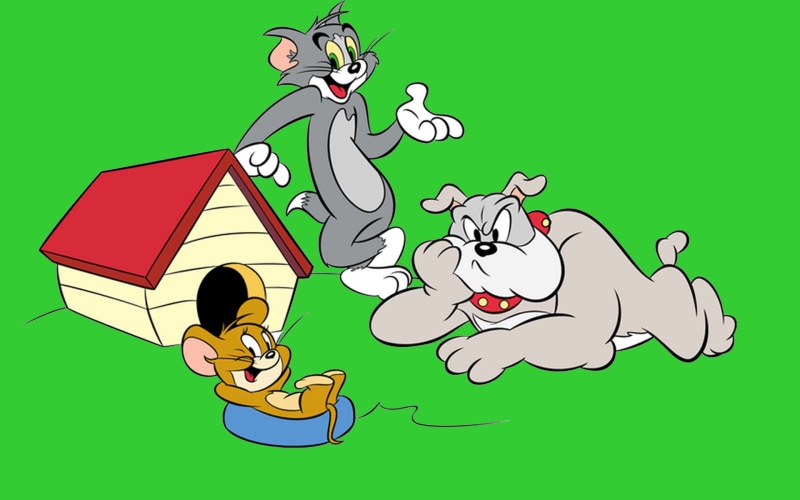 cartoon, jerry, desktop, 1080P, tom, hd, spike