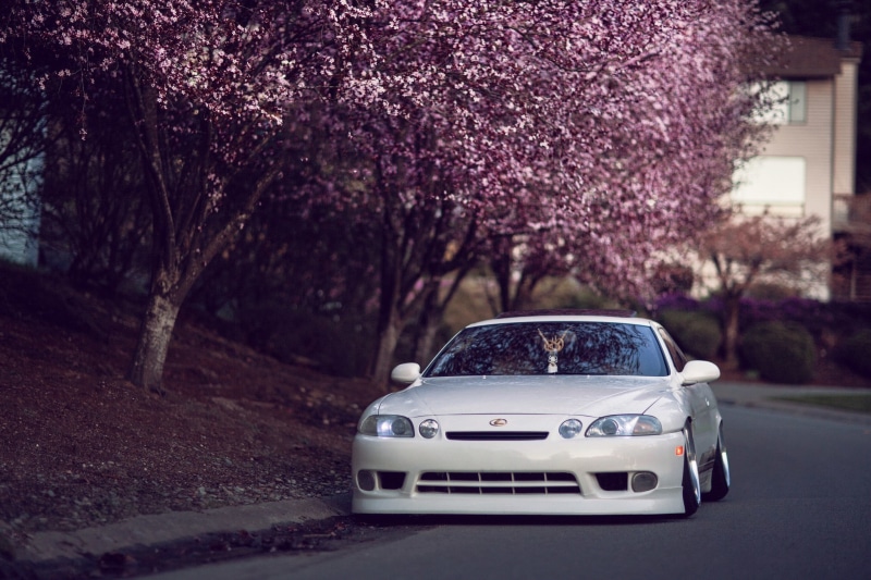 growth, focus on foreground, tuning, land vehicle, hellaflash, Japan, car, freshness, nature, day, 1080P, no people, transportation, blossom, city, Lexus