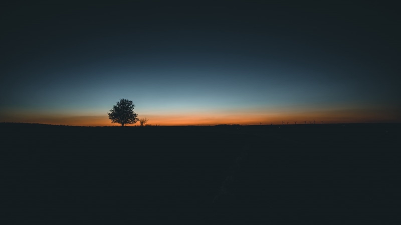 minimalistic, environment, sunrise, horizon over land, tranquil scene, 1080P, nature, land, beautiful, tree, sunset, dark, sky, dusk, no people, silhouette