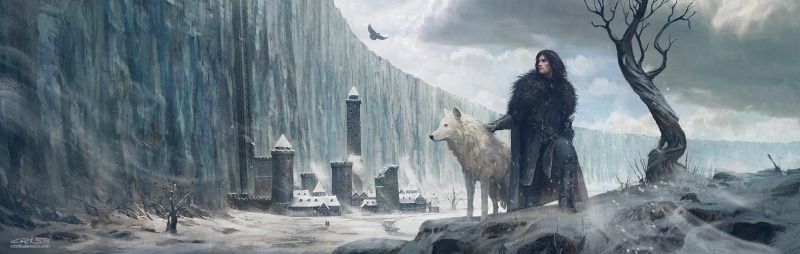 hairstyle, cold temperature, females, 1080P, one person, nature, cristi balanescu, land, outdoors, luminos, wolf, game of thrones, young adult, ghost