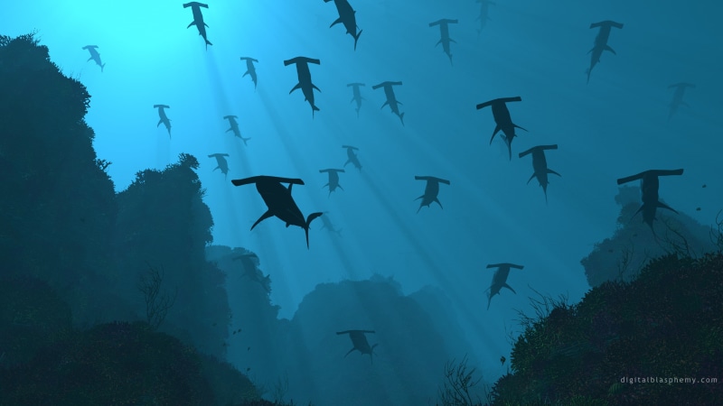 fish, hd, hammerhead, blue, shark, animals, sharks, 2K