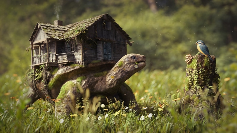 flowers, Photoshop, fantasy art, animals, depth of field, tree stump, digital art, old, moss, artwork, birds, butterfly, green, trees, grass, photography