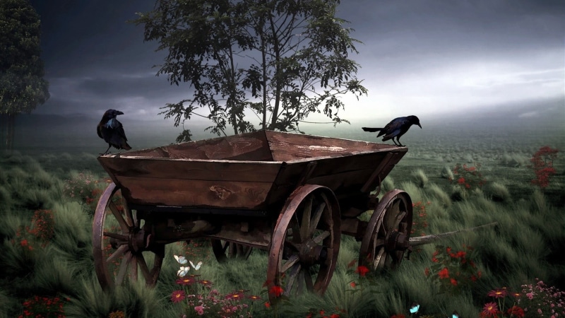 grass, vehicle, birds, day, sky, 1080P, painting, wheel, fog, outdoors, wooden, nature, flower, wheels, brown, growth, no people, transportation, tree
