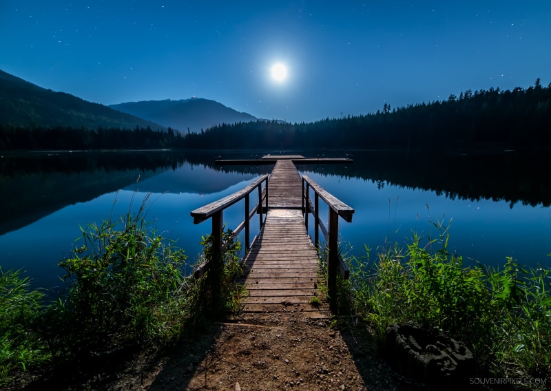 Tree, Light, blue, Peaceful, Evening, Wide Angle, Relaxation, Exposure, Moon, Landscape, Nature, Scene, forest, Astronomy, Travel, Spiritual, outdoors