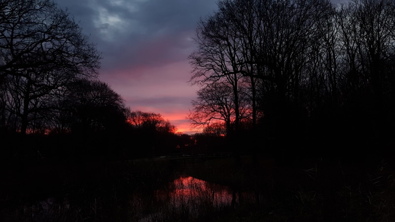 reflection, Sunrise, non-urban scene, 4K, houses, flowering, detour, got lost, plants, tranquility, flashlight, obstacle, flowers, land, color, train
