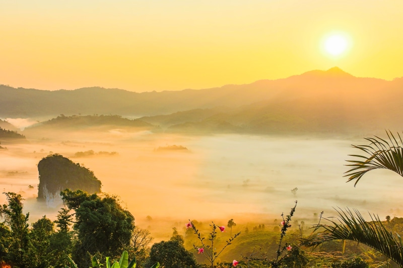 beautiful, hill, scenics - nature, season, beauty in nature, flowers, sky, green, landscape, mountains, foggy, tropical, peak, outdoors, light, no people