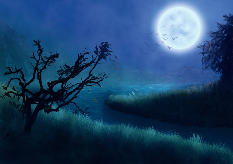 full moon, cloud - sky, tree, digital composite, plant, template, dusk, trees, fog, water, moonlight, planetary moon, autumn, darkness, mystical, outdoors