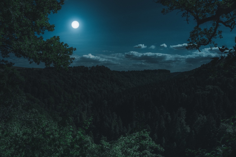 travel, environment, germany, growth, evening, land, planetary moon, moonlight, green, scenic, cloud - sky, full moon, night, schönwetter, tranquil scene
